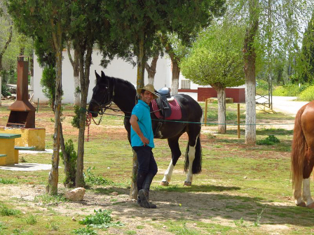 Luxury Close To Malaga 